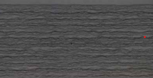 W A 0 0 1
