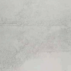 WP002