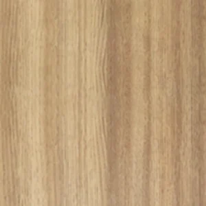 WP60-02
